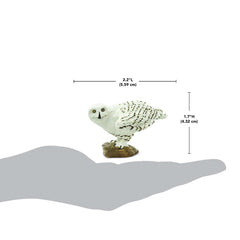 Safari Ltd Snowy Owl figurine in natural environment prompts Arctic wildlife storytelling
