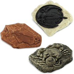 Safari Ltd t-rex-tooth figurine enhances paleontology playtime.