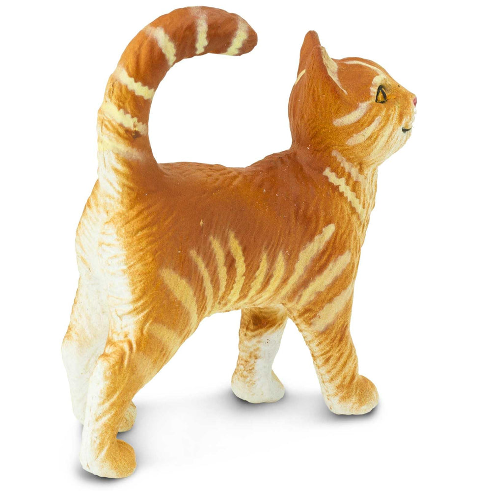 Safari Ltd Tabby Cat Figurine from Safari Farm collection for classroom dioramas.
