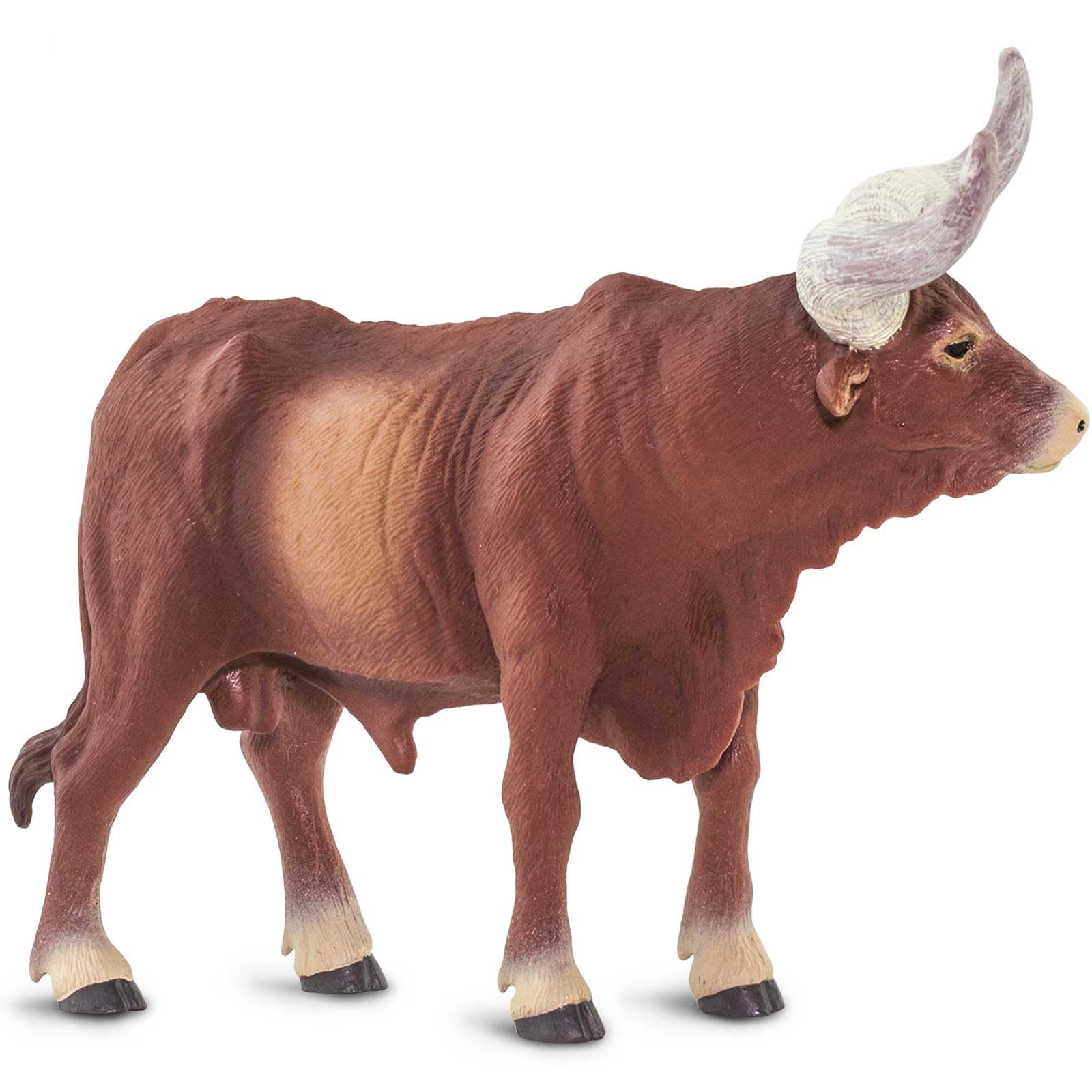 Safari Ltd Watusi Bull figurine supports learning about livestock and wildlife.