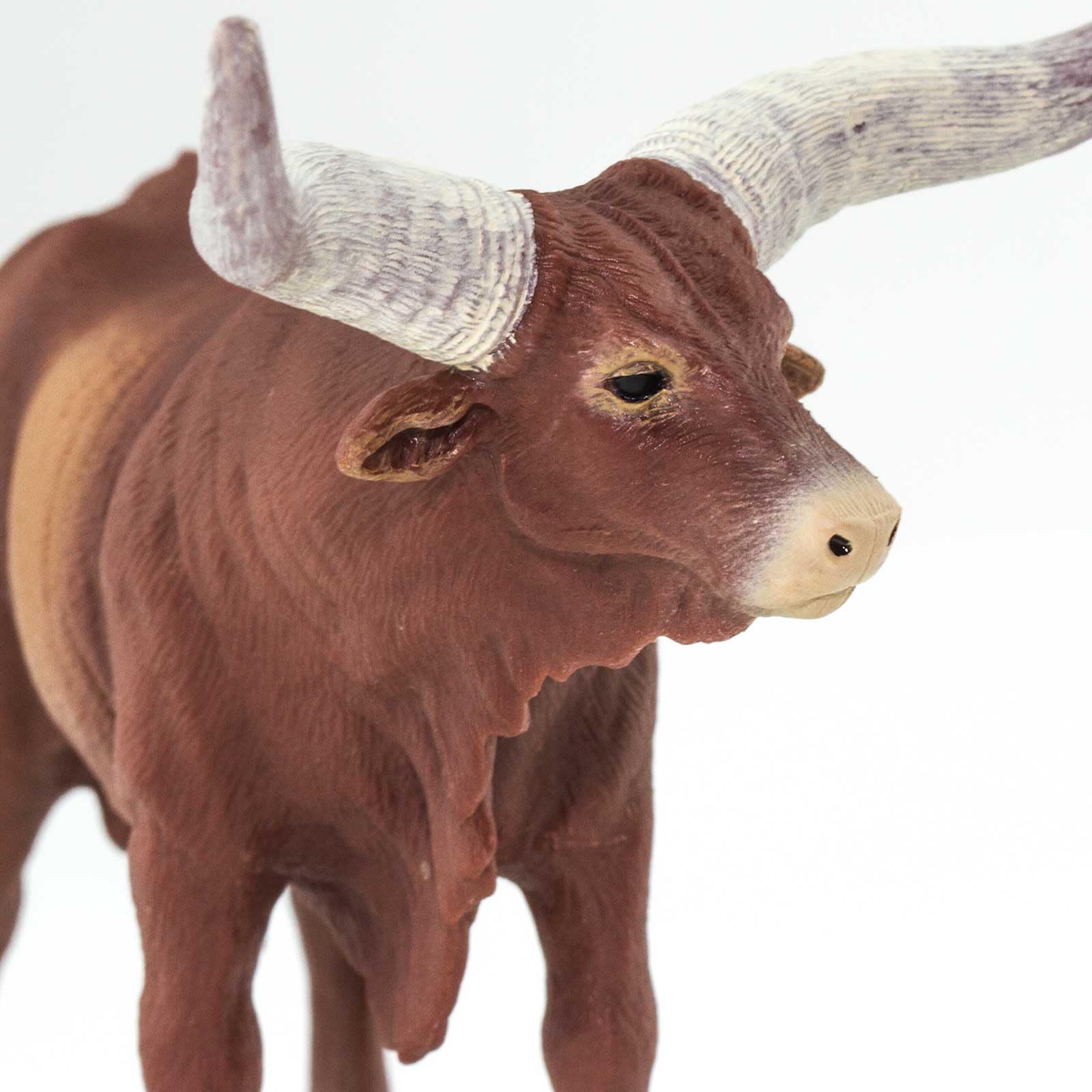 Safari Ltd Watusi Bull figurine material plastic ensures safe, durable play.
