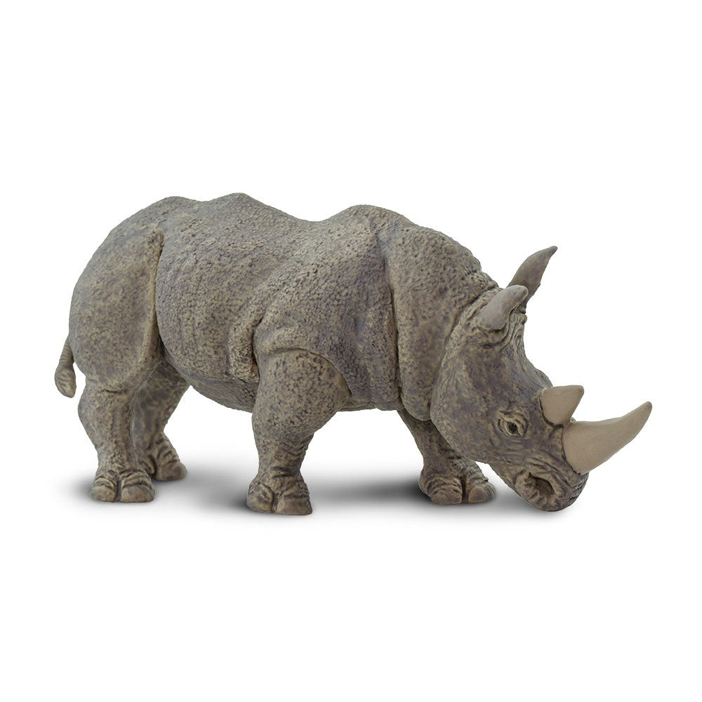 Safari Ltd white rhino figurine close-up paint reveals realistic details for learning.