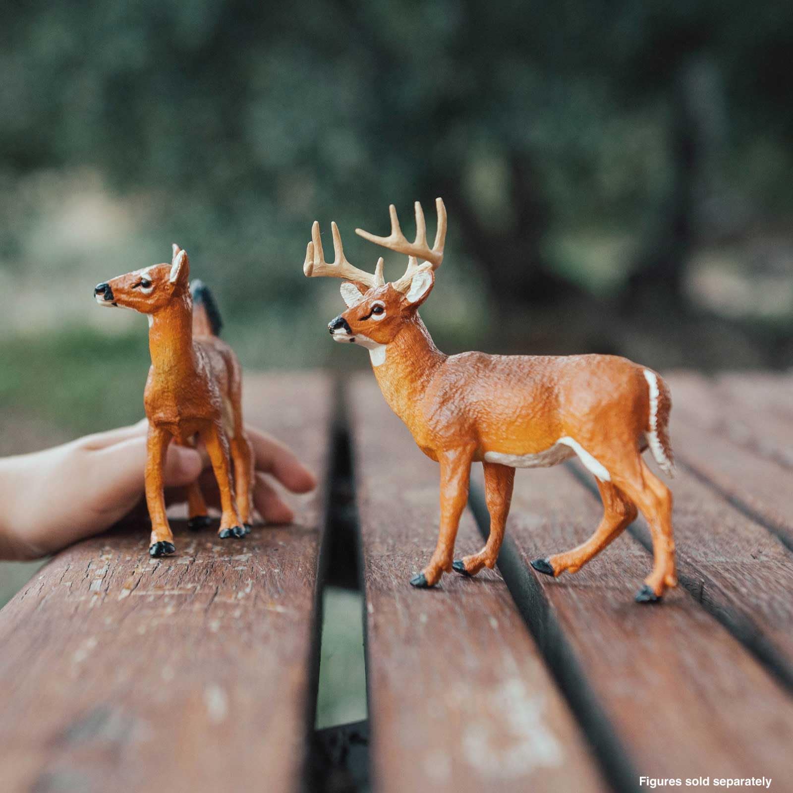 Safari Ltd. Whitetail Buck figurine front view shows realistic anatomy for learning.