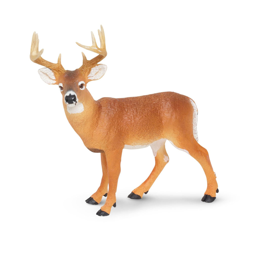 Safari Ltd. Whitetail Buck figurine head close-up reveals facial features.