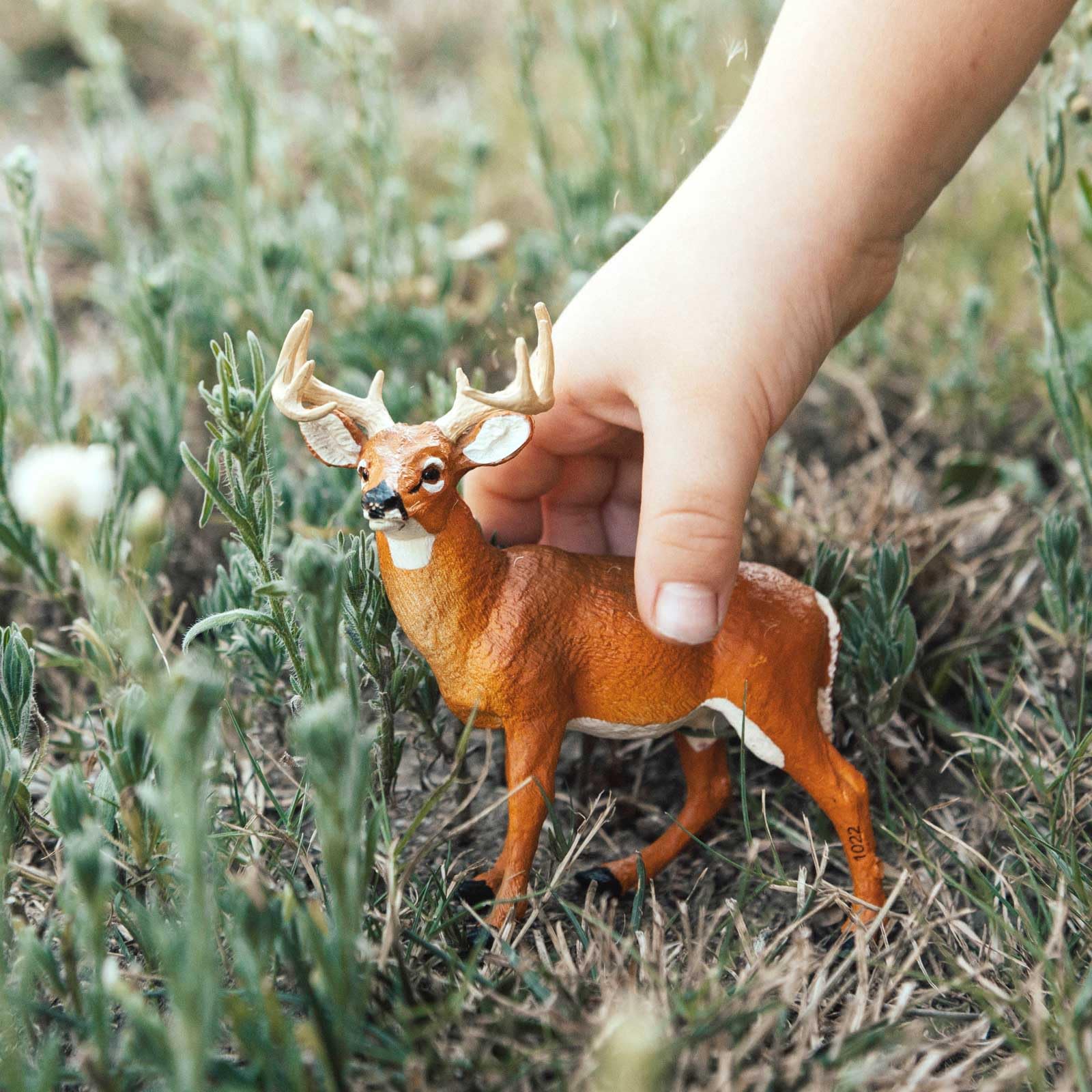 Safari Ltd. Whitetail Buck figurine texture close-up showcases lifelike fur.