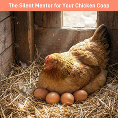 SallyFashion wooden eggs provide a customizable canvas for crafts.