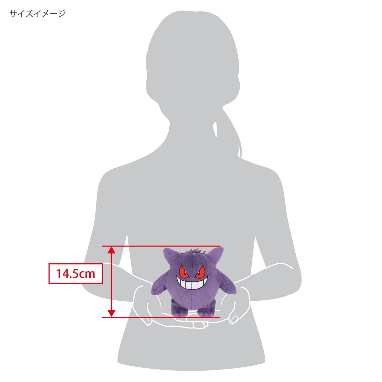 Sanei Pokemon All Star Gengar plush packaging closeup, authentic look for collectors.