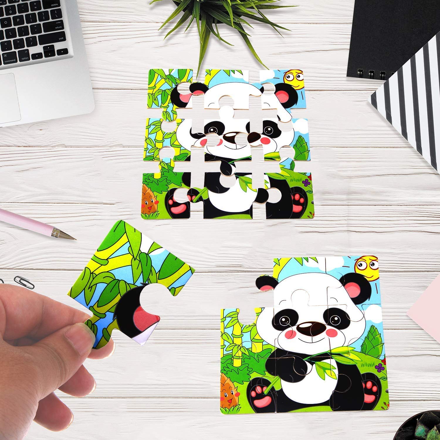 SANNIX packaging includes a decorative gift bag for easy gifting.