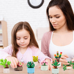 Sathibi gift-packaged succulent bonsai set ideal for thoughtful gifting.
