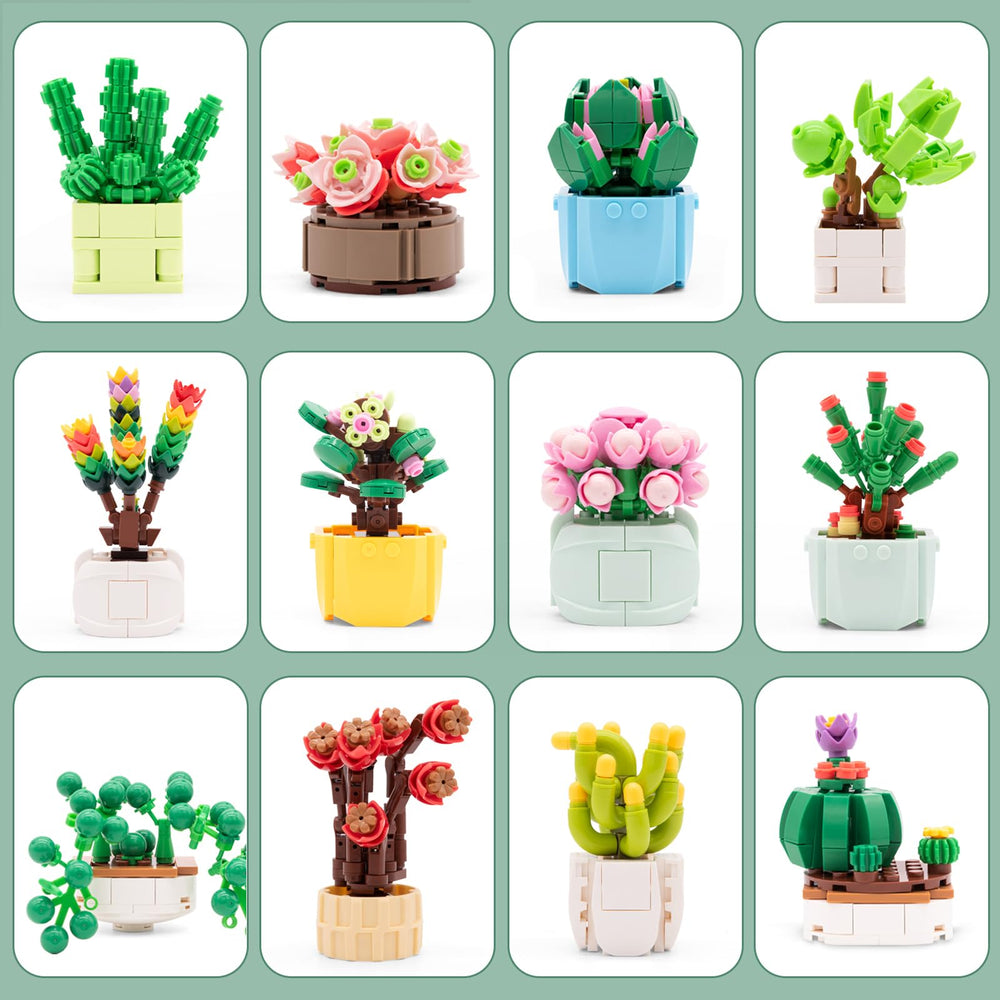 Sathibi bonsai-like succulent blocks showcase textures for a soothing workspace.