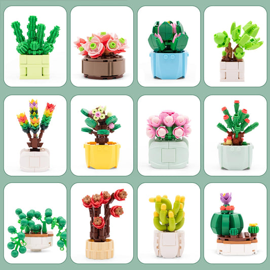 Sathibi bonsai-like succulent blocks showcase textures for a soothing workspace.