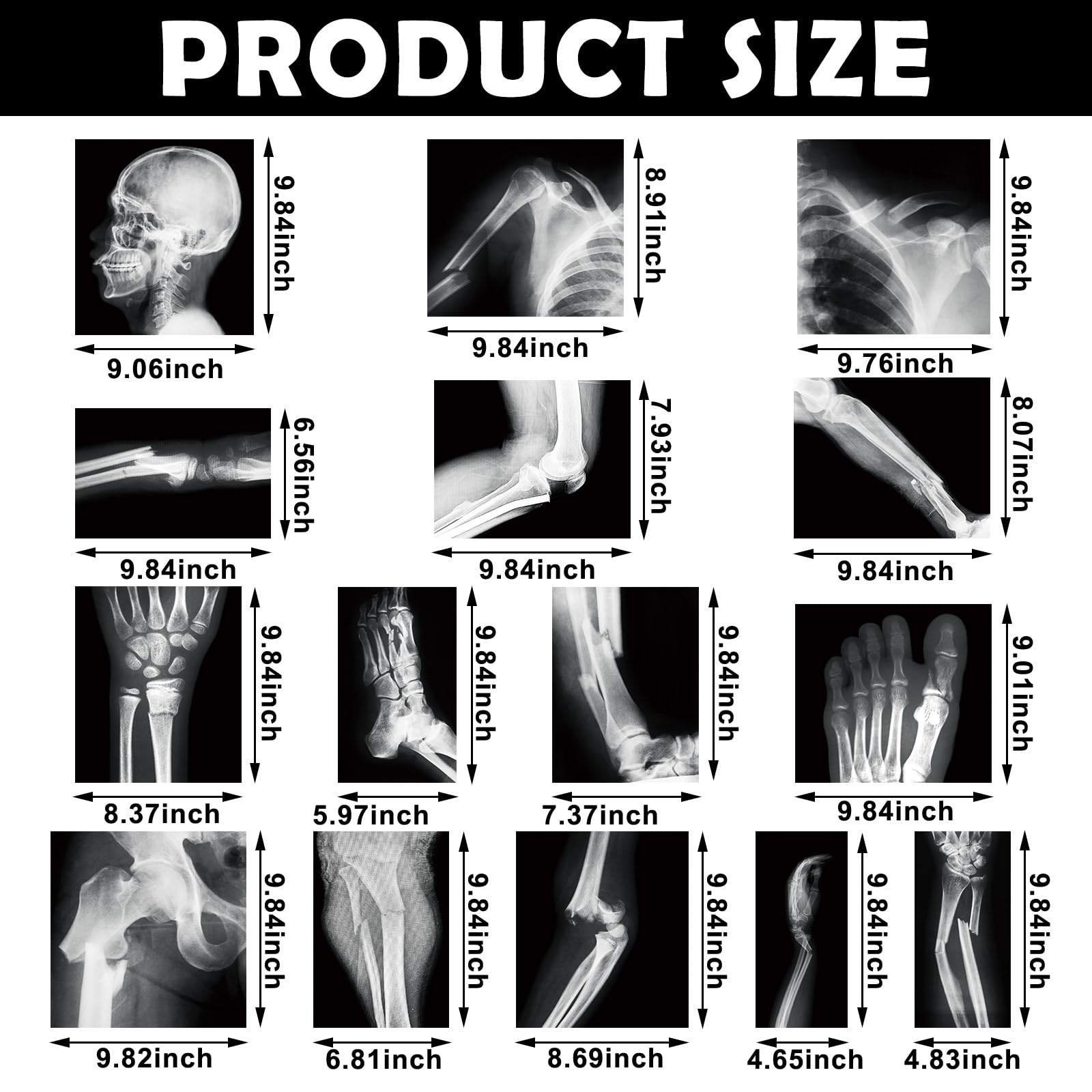 Sayglossy human skeleton X-ray layout with clear bone visuals