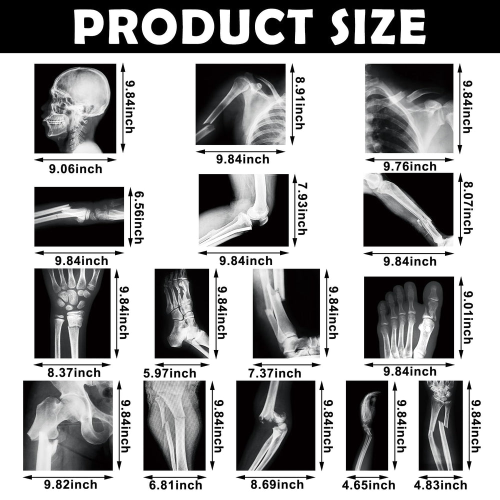 Sayglossy human skeleton X-ray layout with clear bone visuals