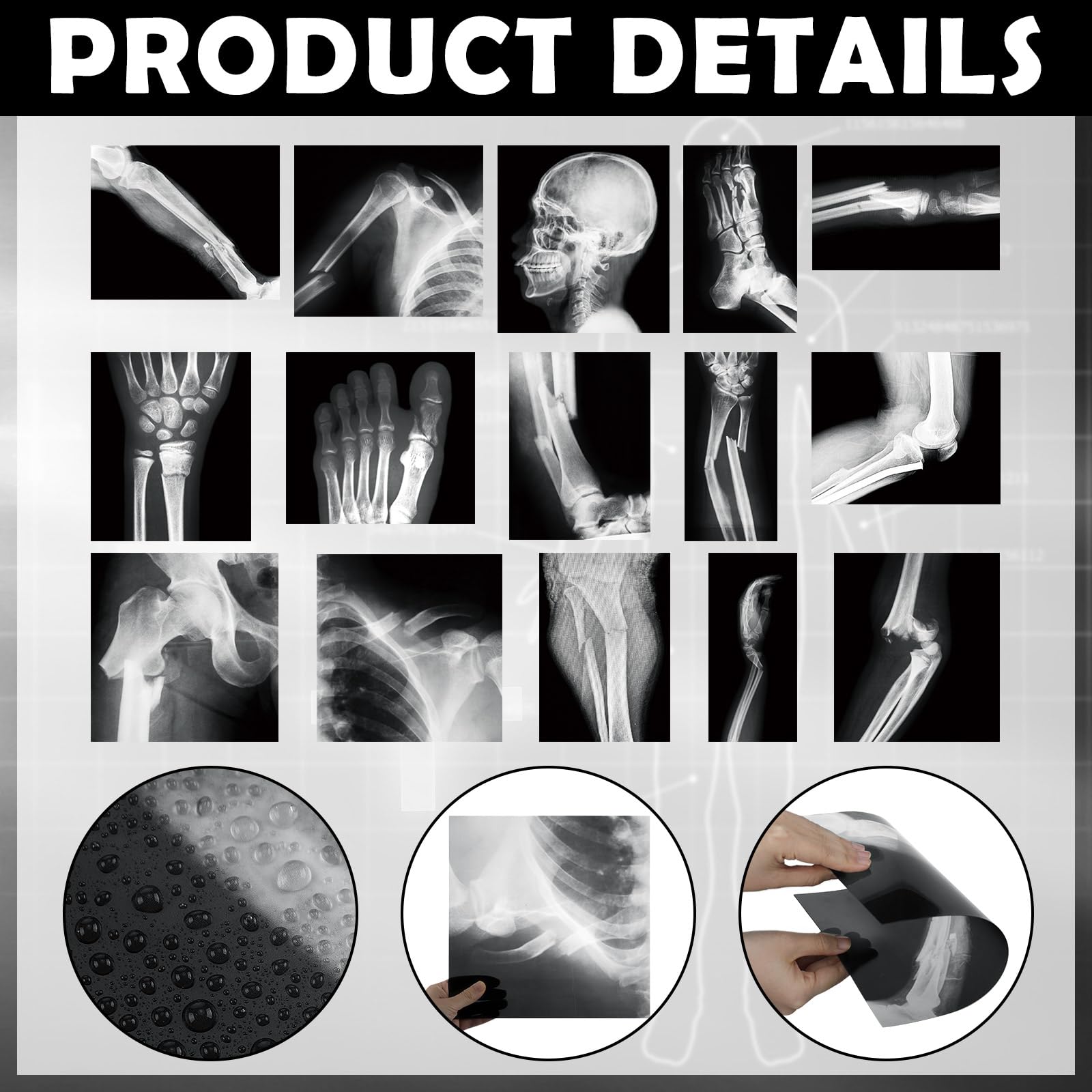 Sayglossy PVC X-ray pieces designed as durable teaching tools
