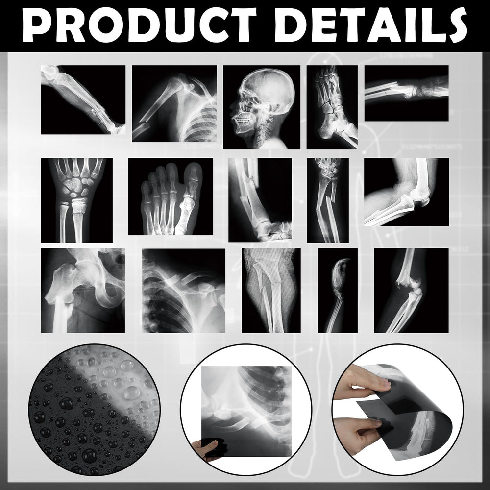 Sayglossy PVC X-ray pieces designed as durable teaching tools