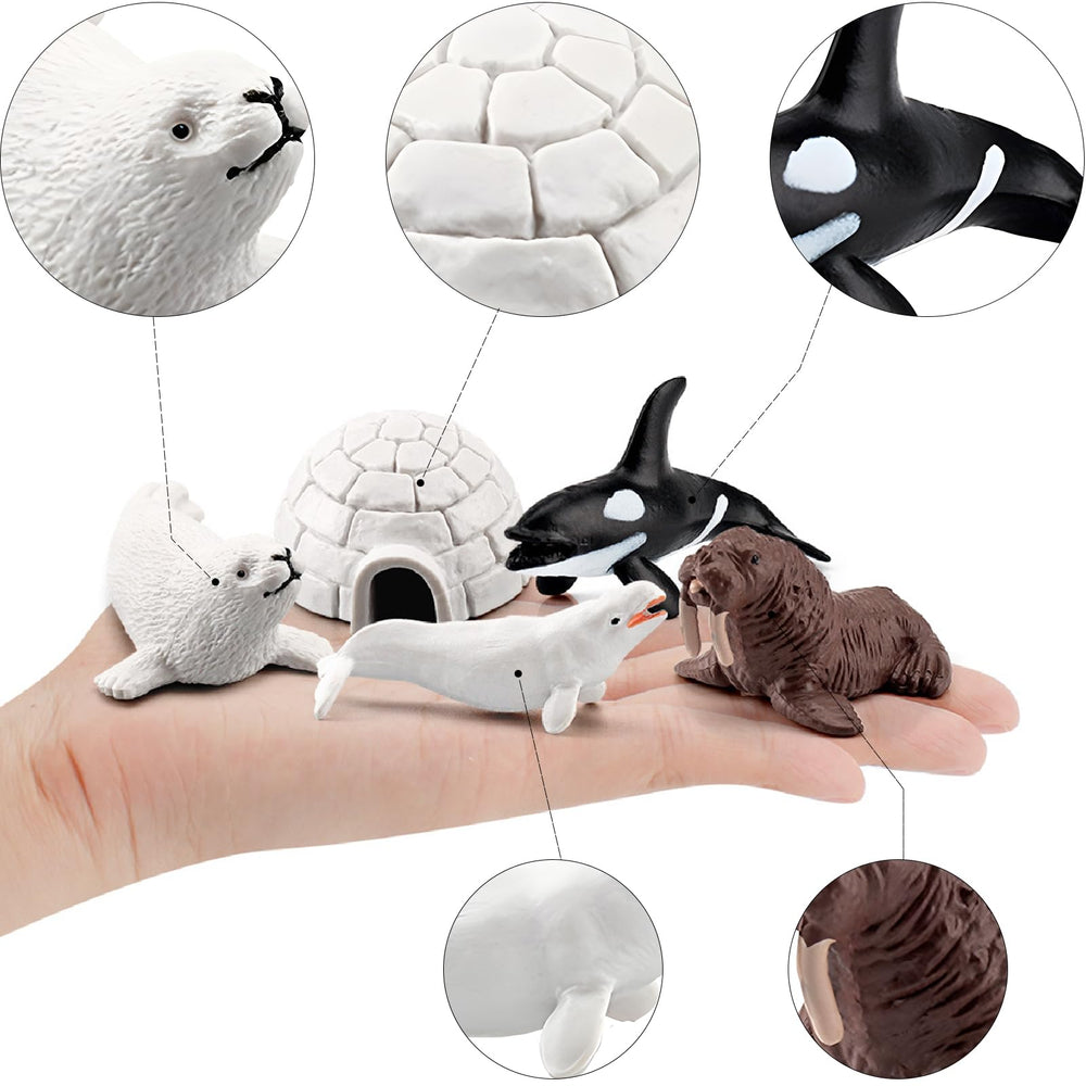 SCAHOW beluga whale figure enhances ocean-themed crafts.