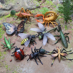 SCAHOW diorama educational insects support learning through play and nature exploration
