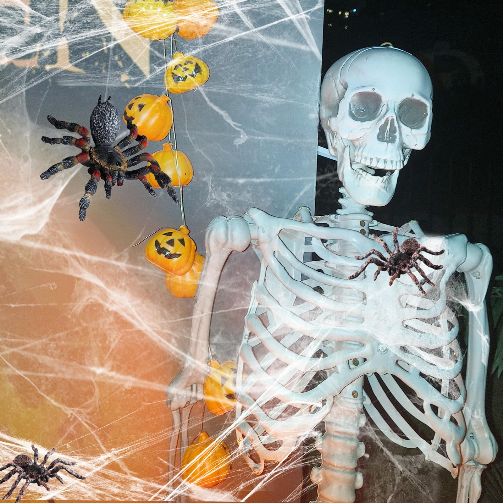 SCAHOW educational spider for kids to explore insects safely