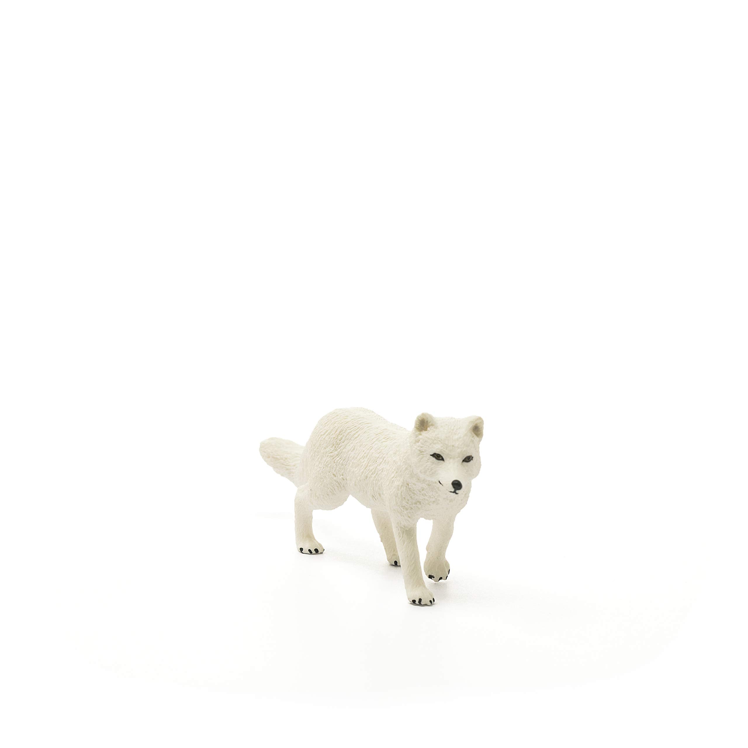 Schleich Arctic Fox detailed sculpture enhances realistic animal study