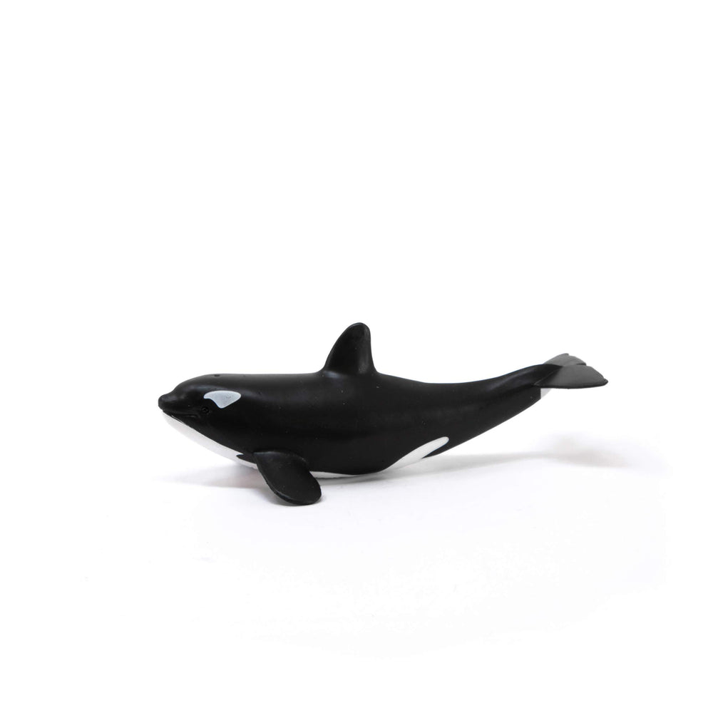 Schleich Baby Orca in child's hand supports safe, open-ended play.
