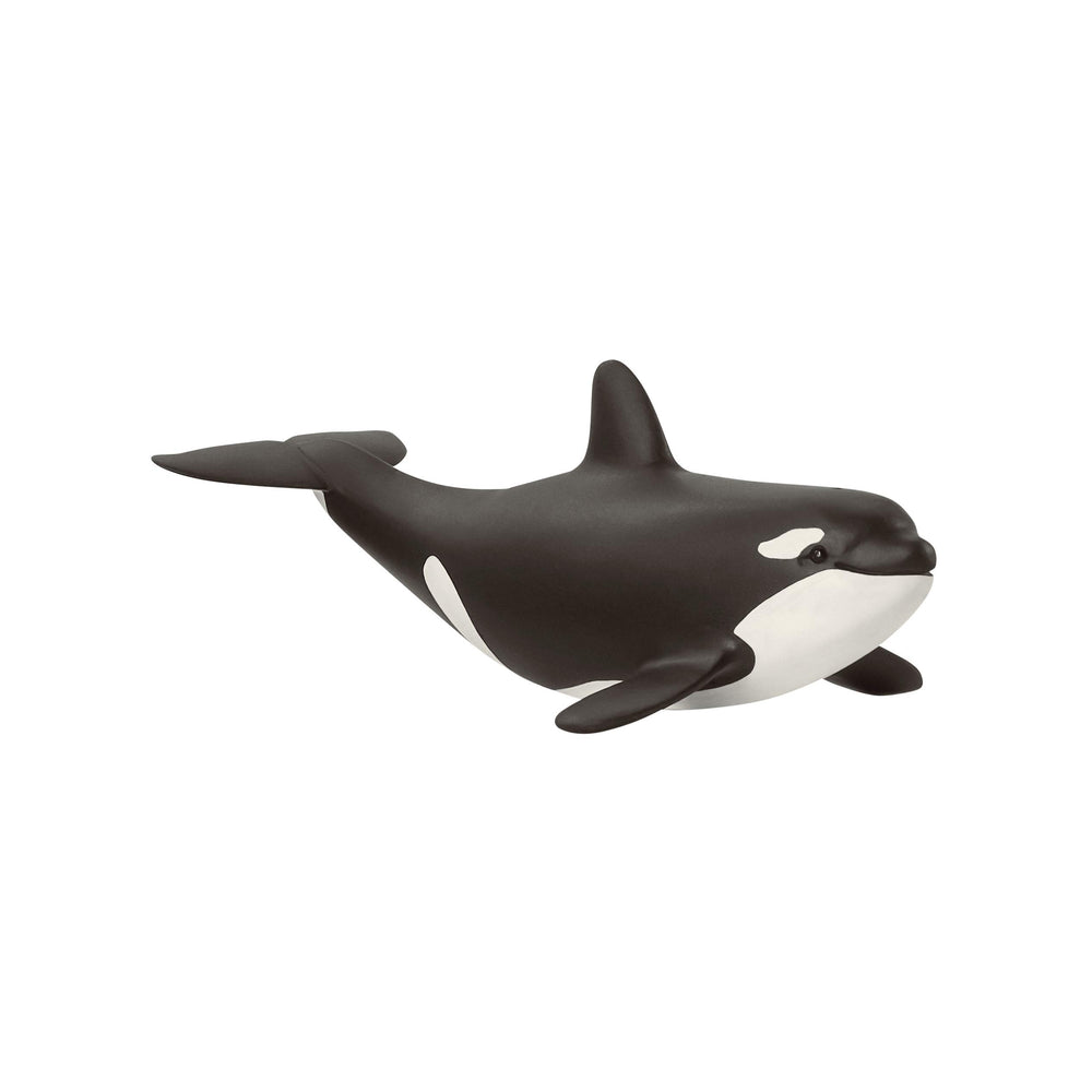 Schleich Baby Orca figurine offers lifelike detail for imaginative play.
