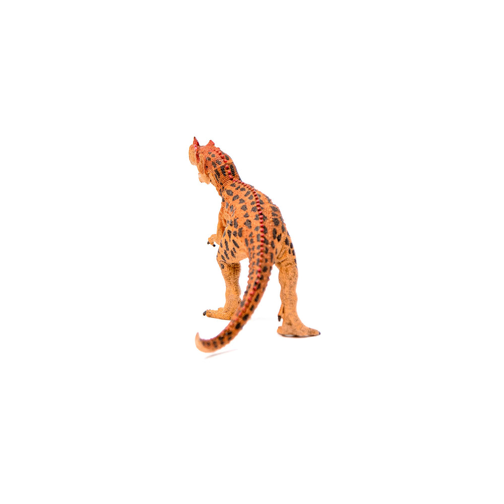 Schleich Ceratosaurus for imaginative play, encouraging storytelling and scenario exploration.