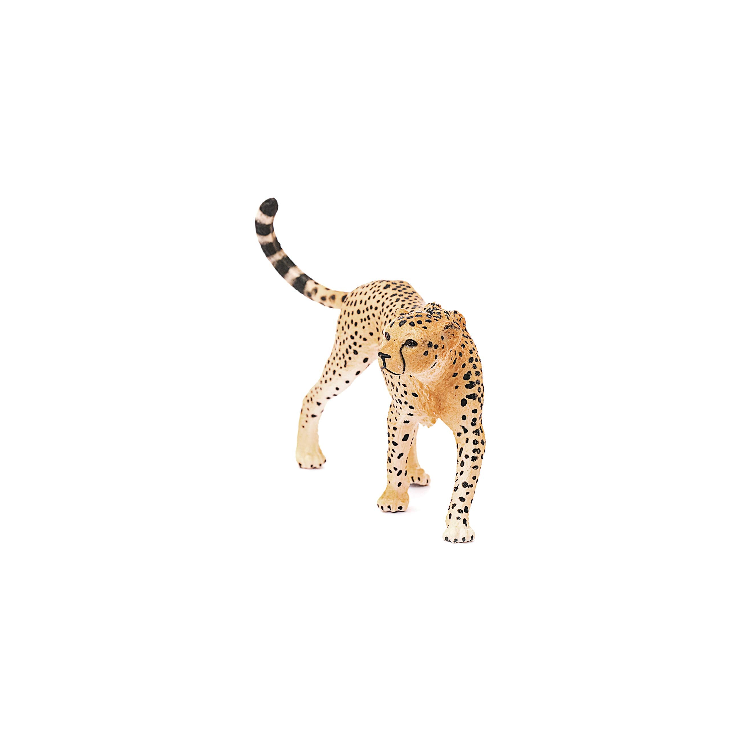 Schleich Wild Life cheetah ready for storytelling in playroom or classroom.