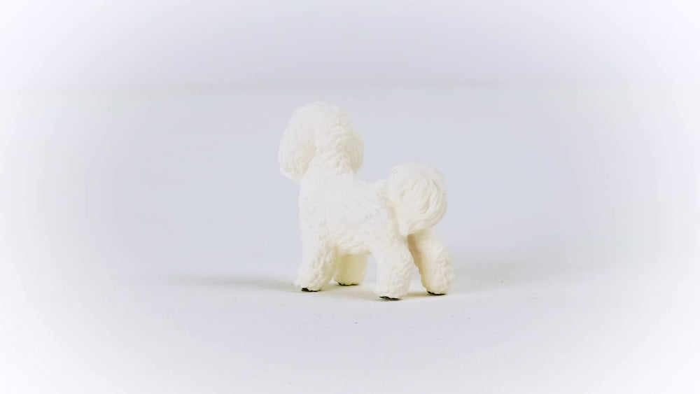 Schleich Farm World Bichon Frise figurine in dynamic pose for farm adventures.