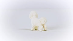Schleich Farm World Bichon Frise figurine in dynamic pose for farm adventures.