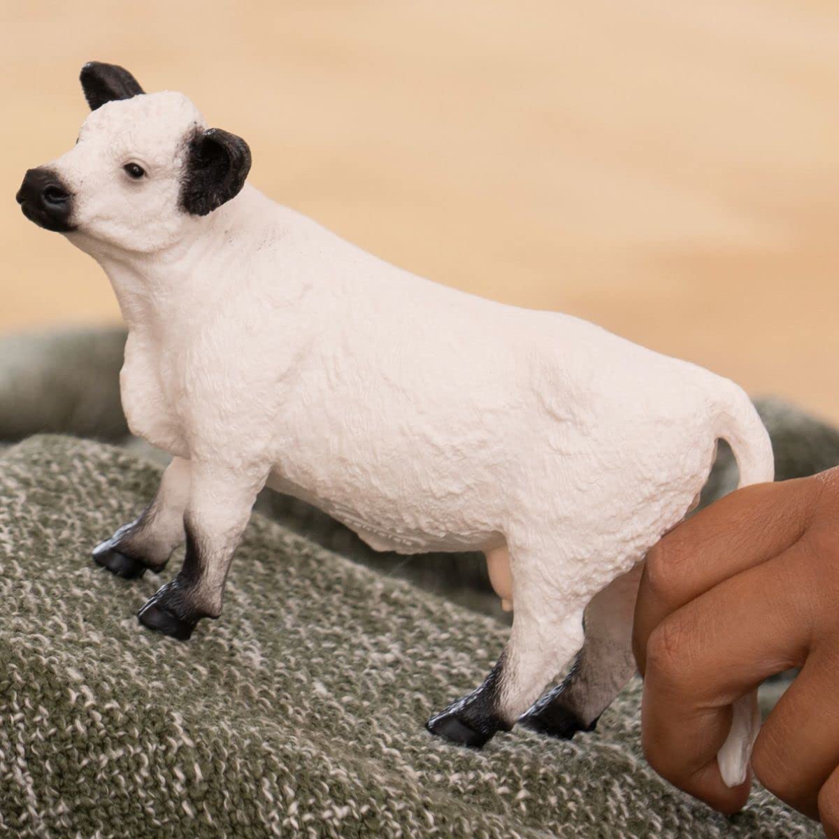 Schleich Galloway cow close-up highlighting texture and craftsmanship for durable toys.