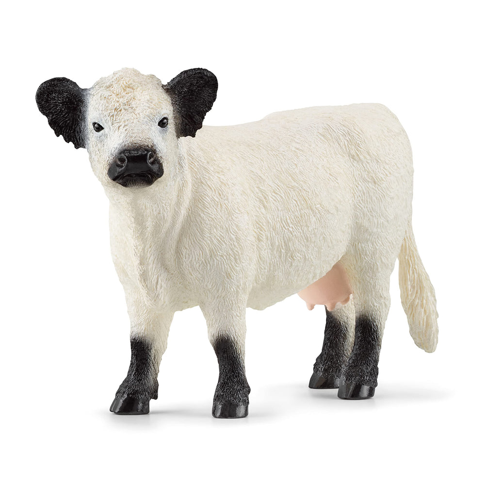 Schleich Farm World Galloway cow figurine with realistic details for imaginative play.