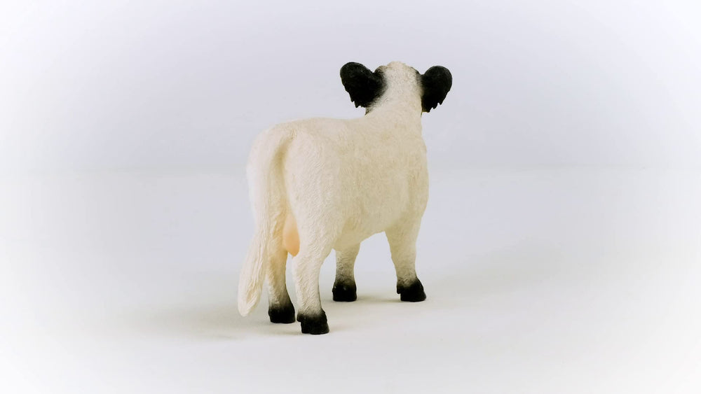 Schleich Farm World Galloway cow in a playtime scenario, sparking storytelling.