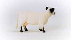 Schleich Farm World packaging showing a gift-ready farm toy for kids.