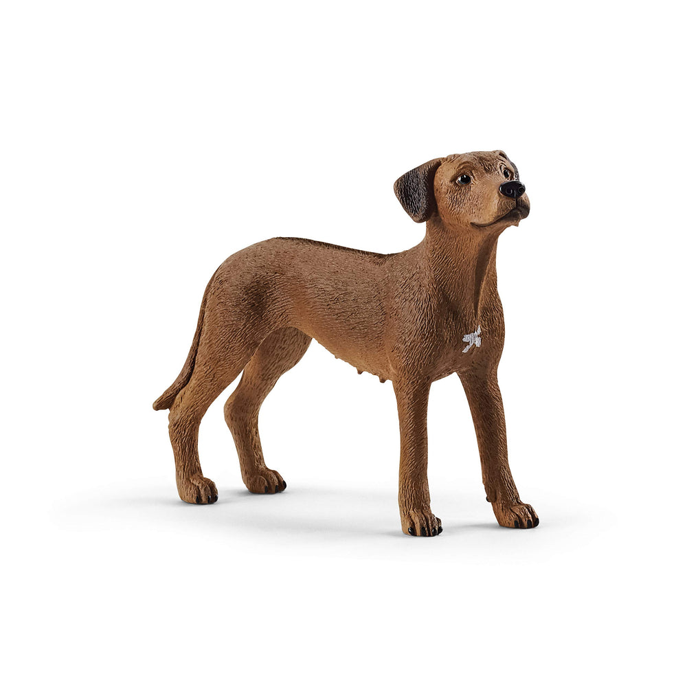 Schleich Rhodesian Ridgeback figurine with detailed texture for lifelike farm play.