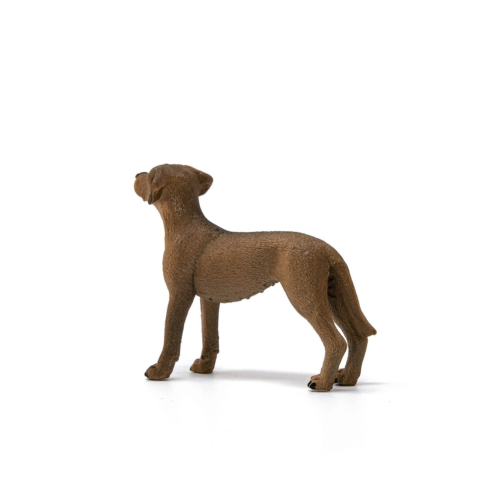 Schleich Rhodesian Ridgeback figurine showcases durable craftsmanship for long-term play.