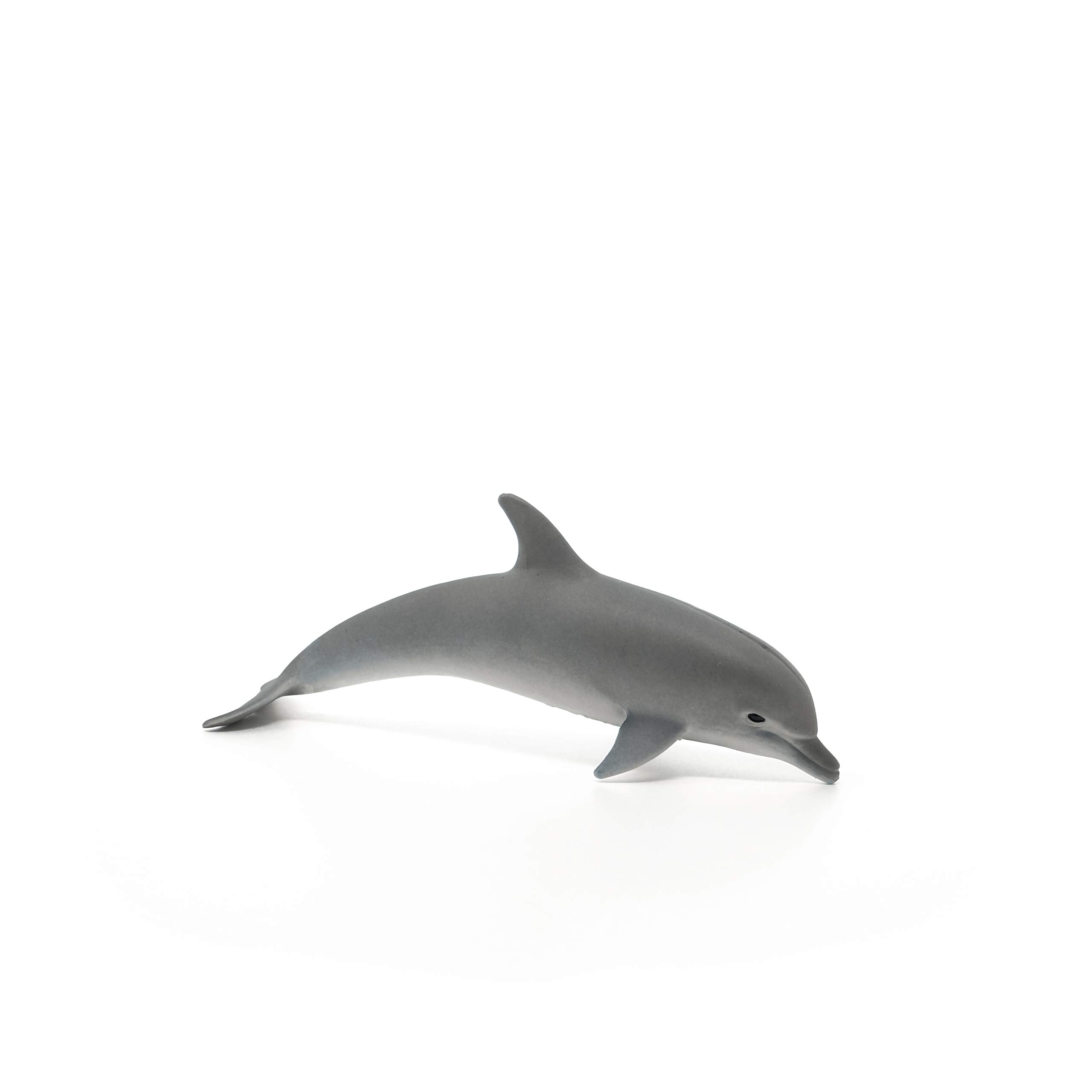 Schleich Wild Life dolphin closeup highlights sleek form for educational storytelling.