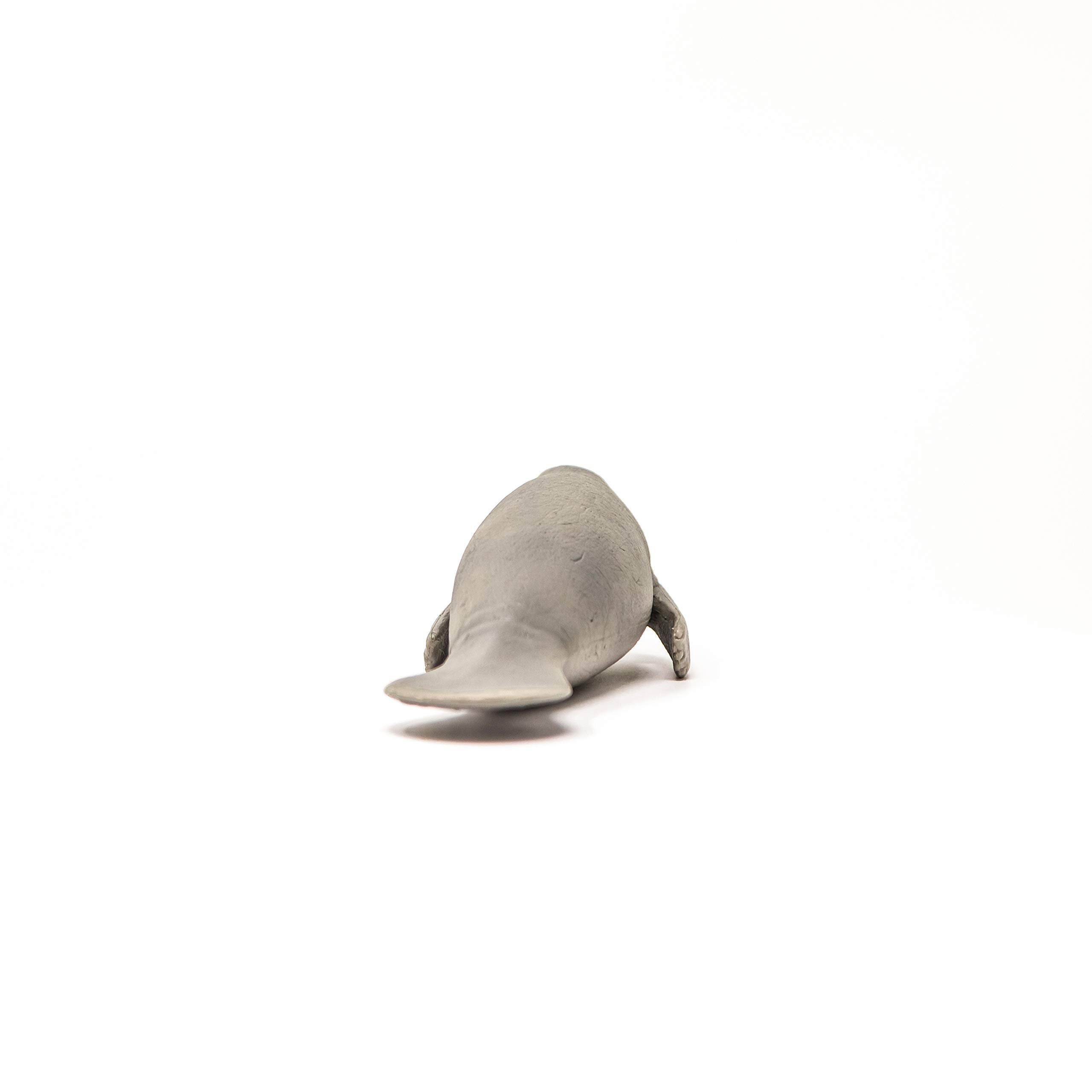 Schleich Wild Life manatee habitat scene encourages safe, imaginative learning during pretend ocean adventures.