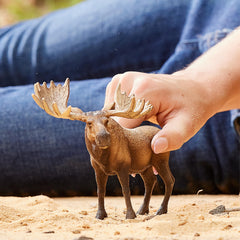 Schleich Moose Bull side view perfect for imaginative storytelling and classroom-style play.