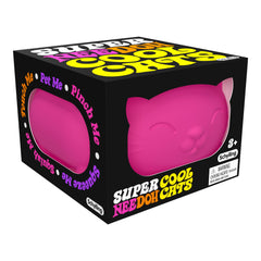 Schylling NeeDoh assorted colors offer playful, shareable options.