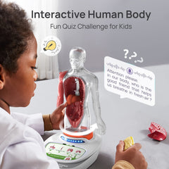 Science Can double-sided knowledge cards aid quick quizzes and memory
