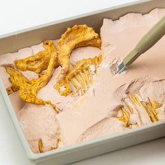 Science4you Triceratops excavation block showing fossil uncovering