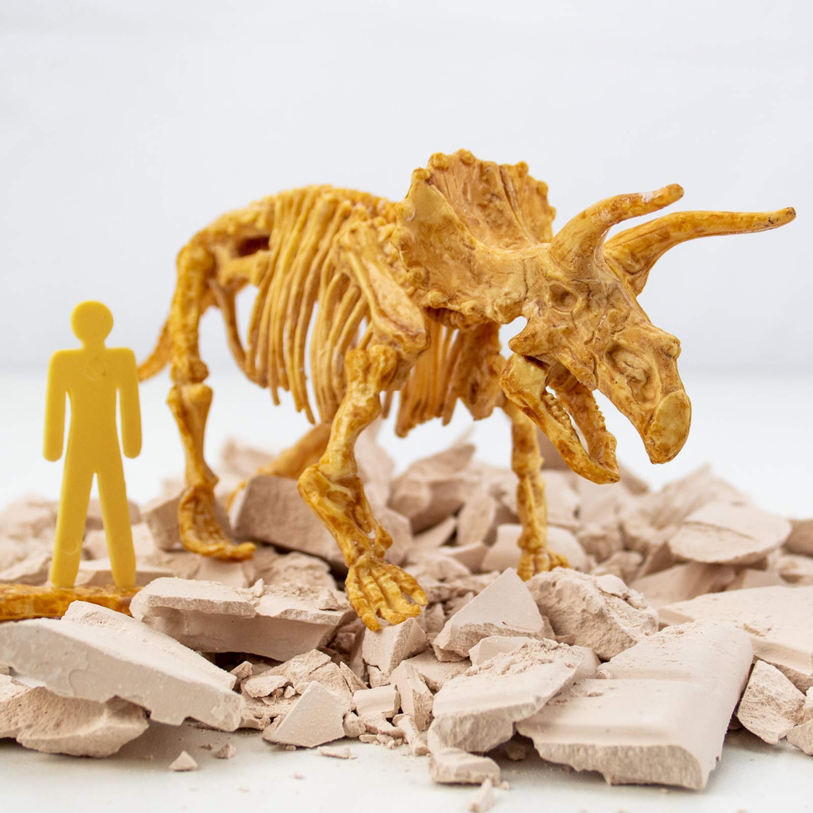 Science4you Triceratops ten bones set for complete fossil assembly