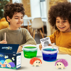sdaymol Crystal Growing Kit: educational science toy for kids ages 8-12.