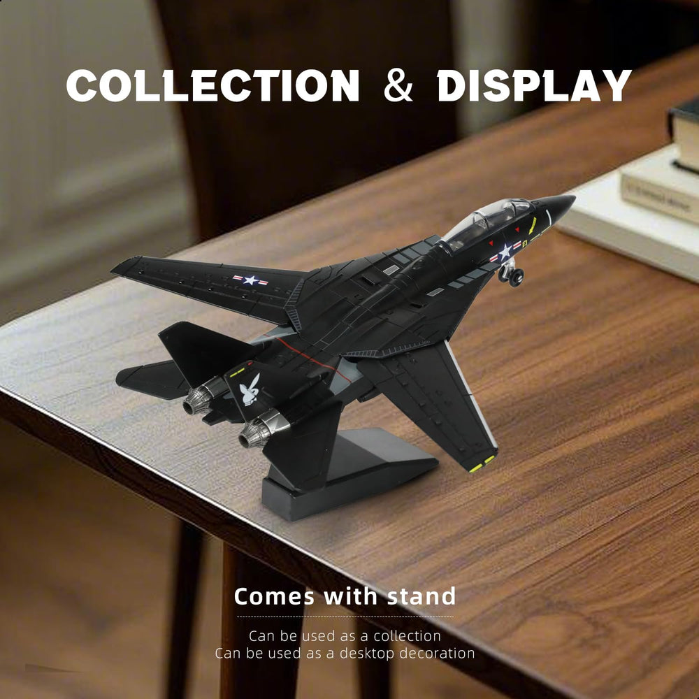 SEBUNAS F-14 Tomcat packaging image showing secure shipping protection