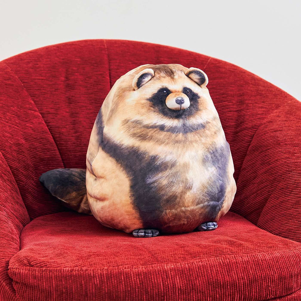Sew Butiful Raccoon Plush vacuum-pack image, packaging shows how to fluff.