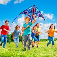 SGftre blue large delta kite is lightweight and portable for travel.