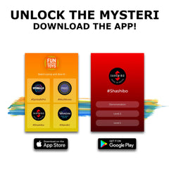 Shashibo gift box packaging highlights a four-pack Earth edition and app access