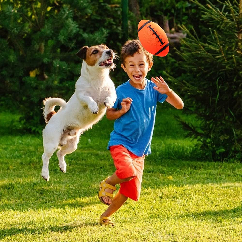 Shindel assorted colors enhance pool and outdoor play visually.