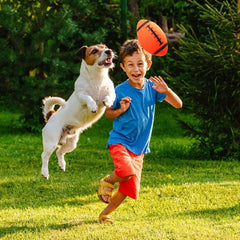 Shindel assorted colors enhance pool and outdoor play visually.