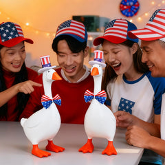 Shinylin gift-ready set invites a fun, imaginative decor surprise.